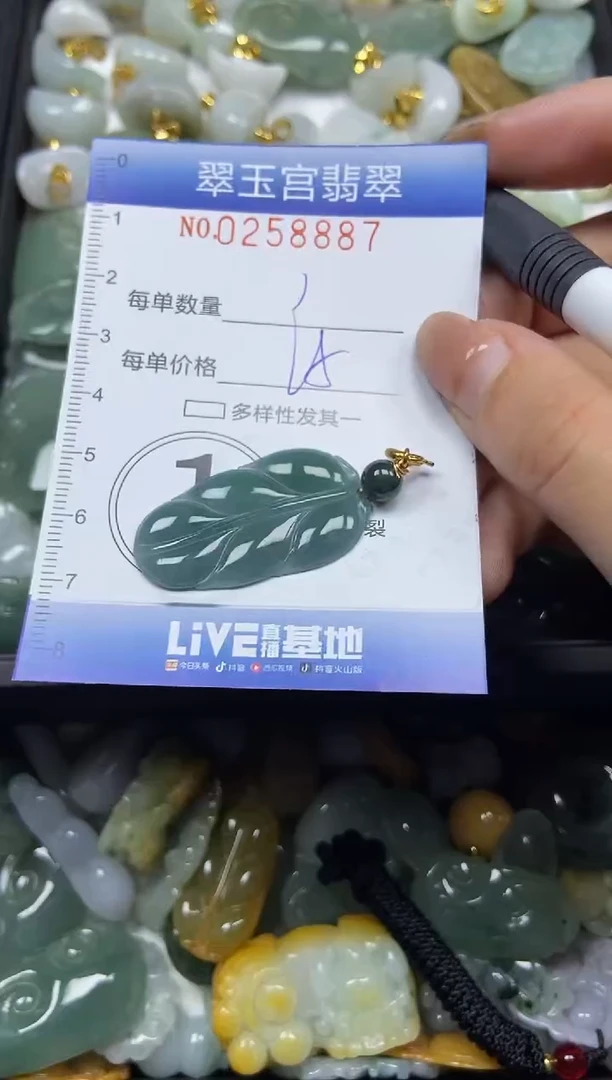 颈饰未镶嵌翡翠闪购C0258887