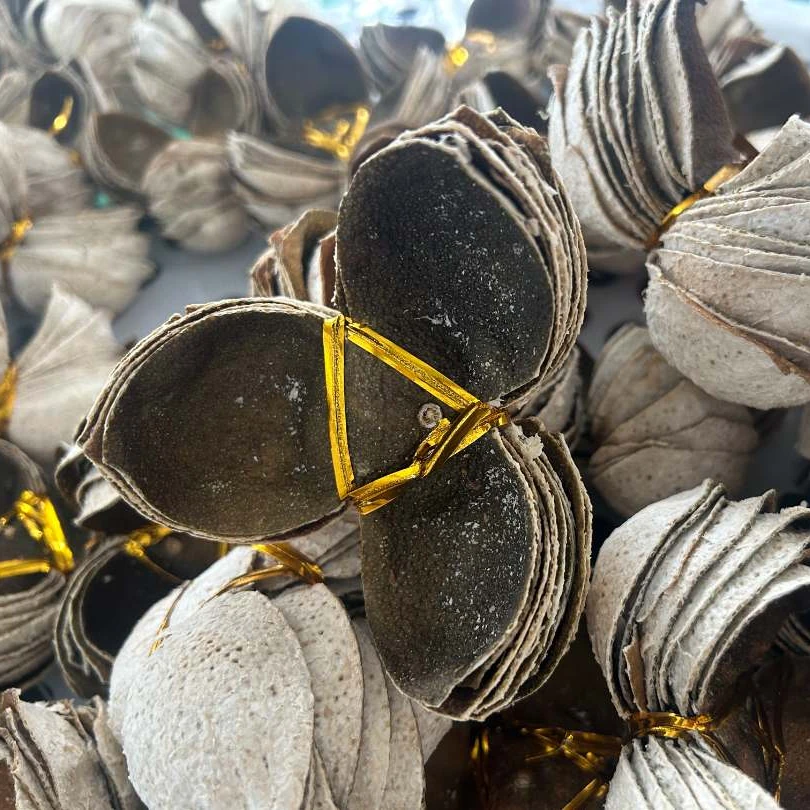 （通用链接）2025年 二红中果