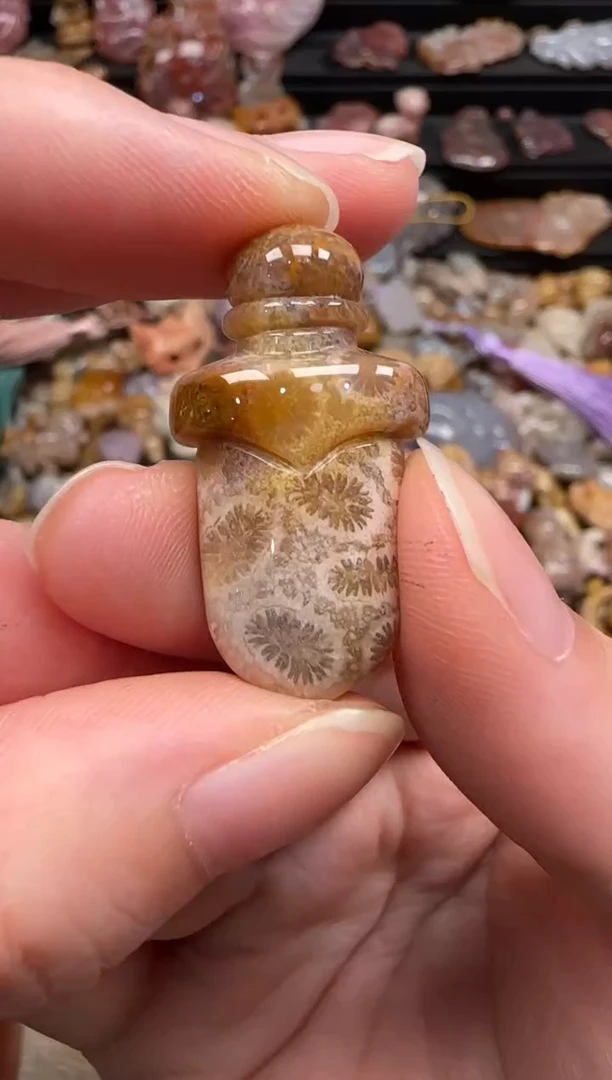 硅化珊瑚（珊瑚玉）未镶嵌颈饰067