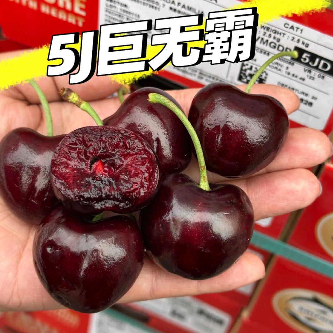 【5J太平洋红】智利进口海运PACIFIC RED太平洋红车厘子 内附果径卡