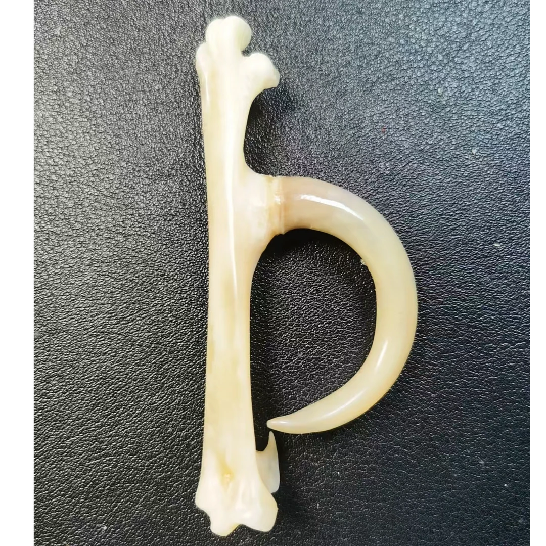 精品大弯钩文玩鸡爪骨