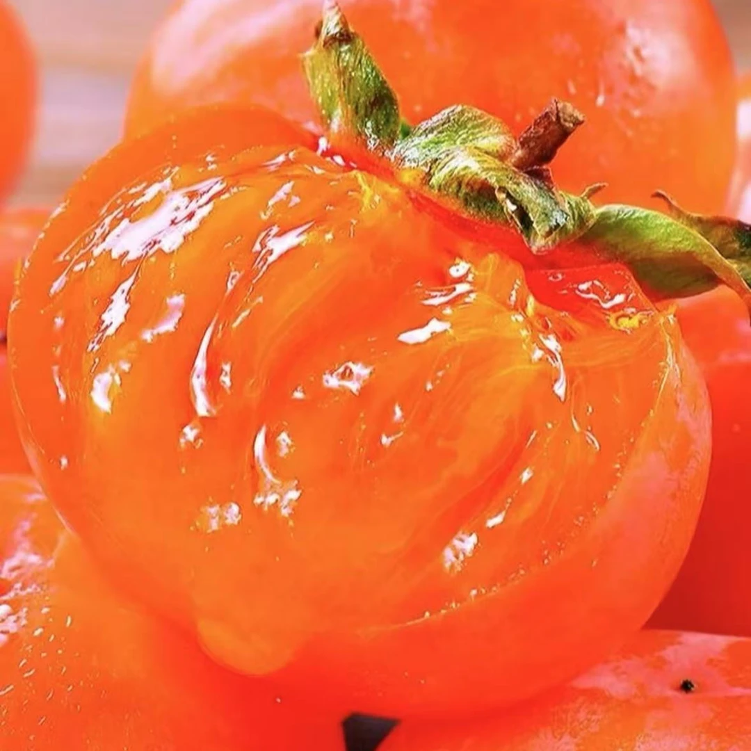 正宗火晶柿子现摘现发当季水果爆甜多汁放软吃流蜜【专属】