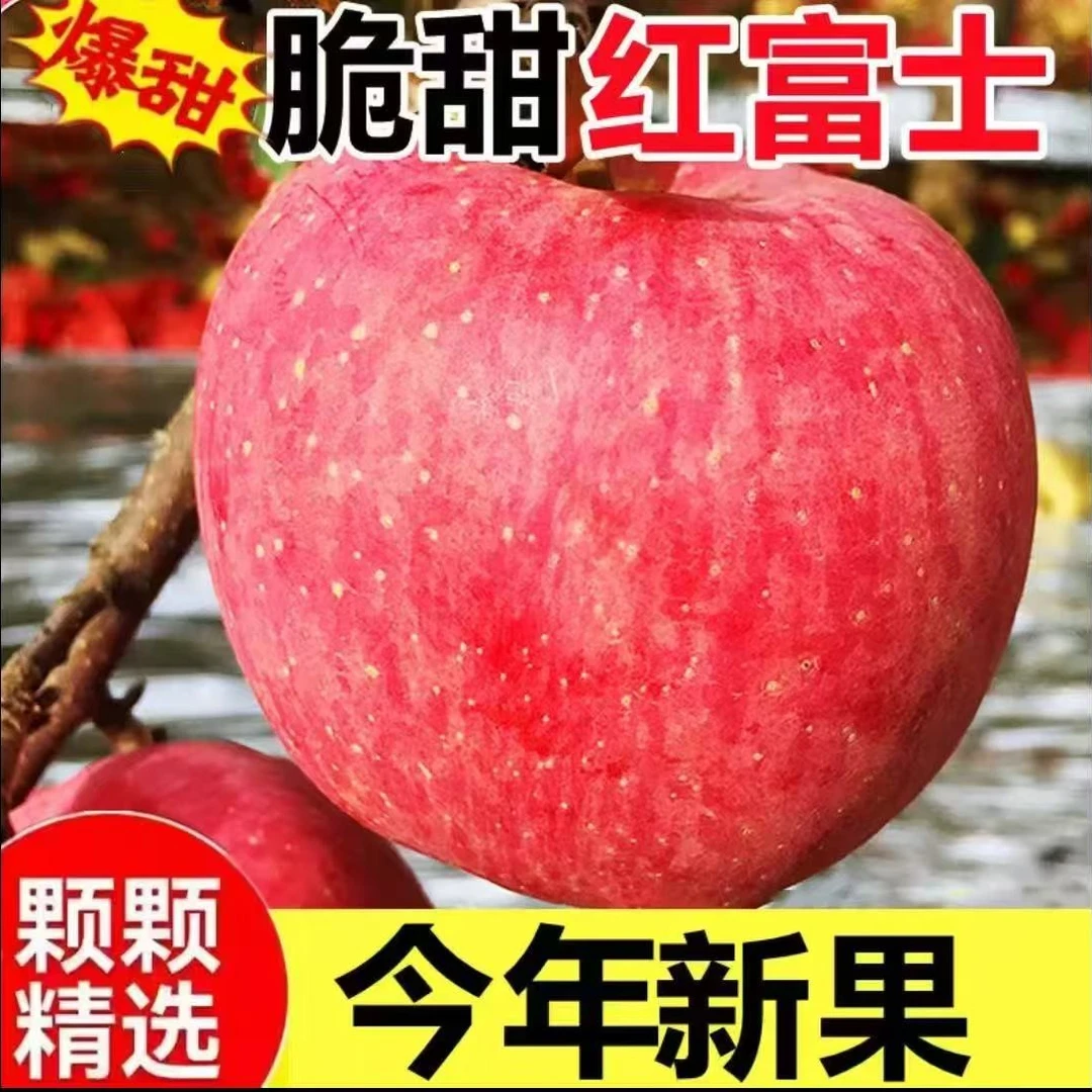 M5【红富士苹果】正宗红富士苹果当季直采脆甜多汁新鲜水果现摘现发