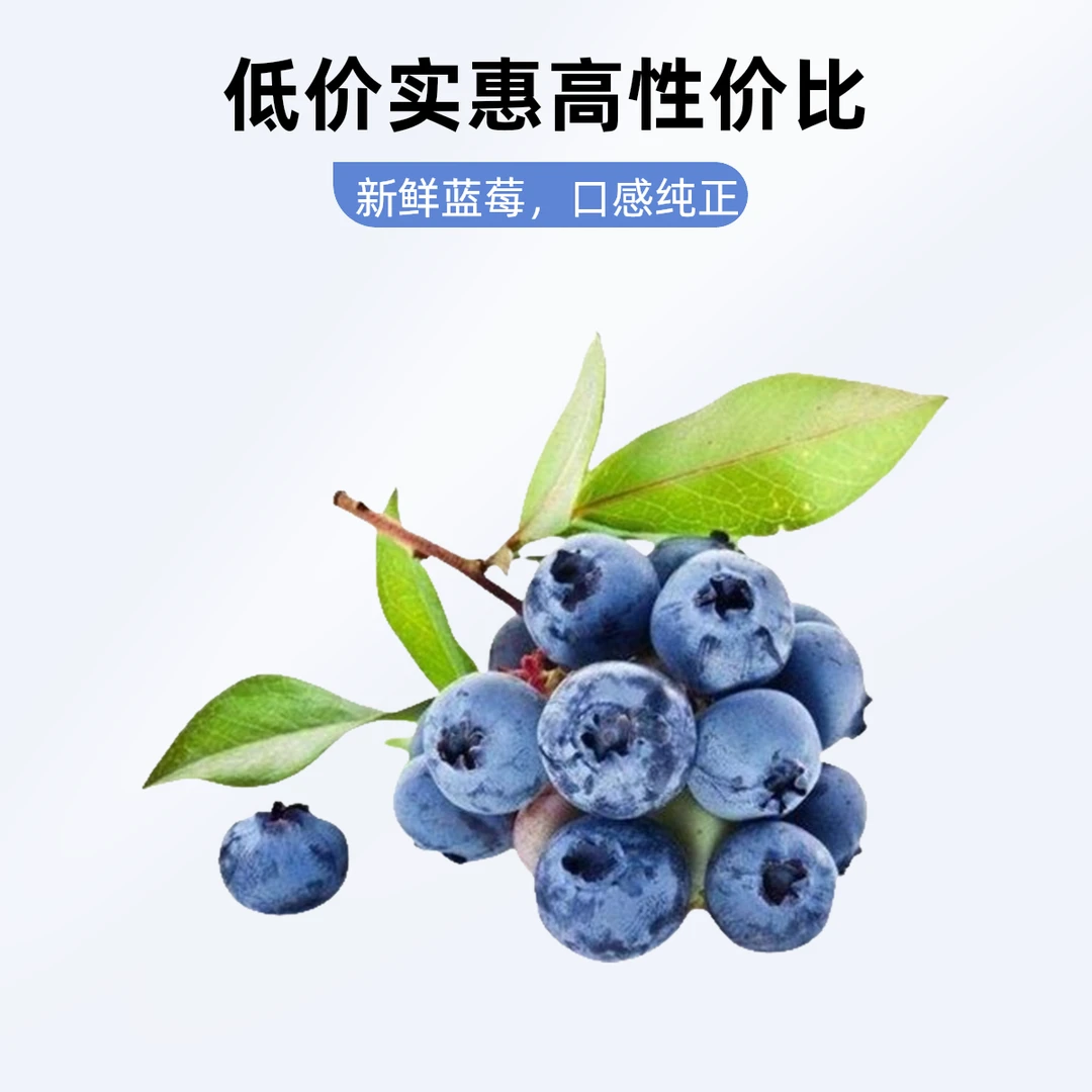 云南高山花香蓝莓L25超大18+mm 顺丰京东明天到你家—BY