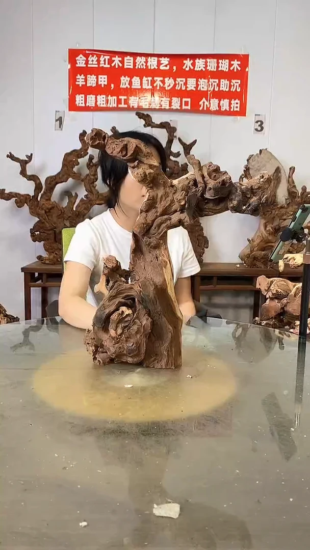 香榧木暴***天金丝红木   羊蹄甲