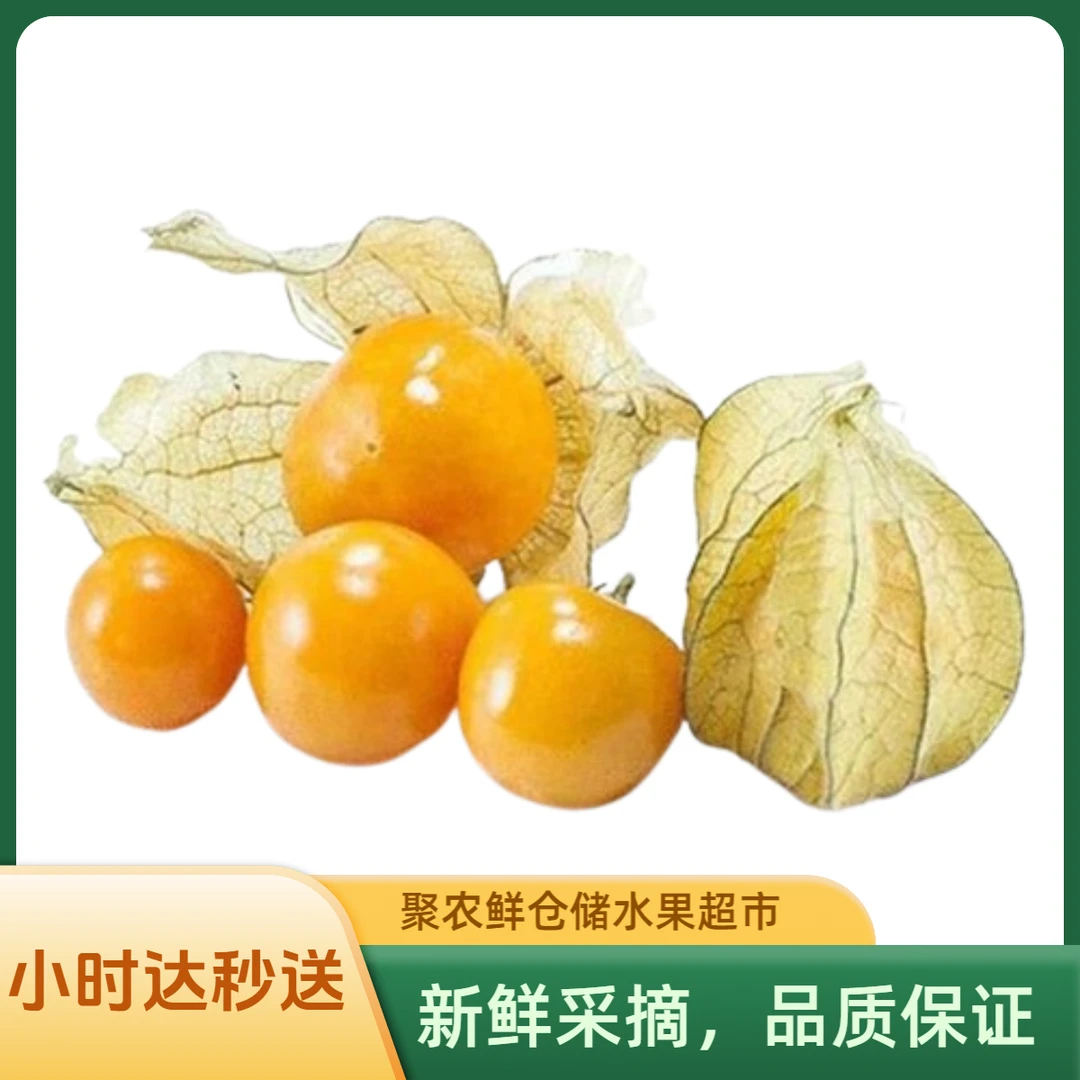 【聚农鲜】新鲜姑娘果两斤