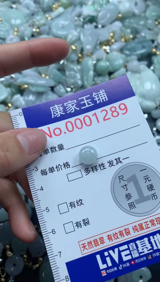 颈饰未镶嵌翡翠1289