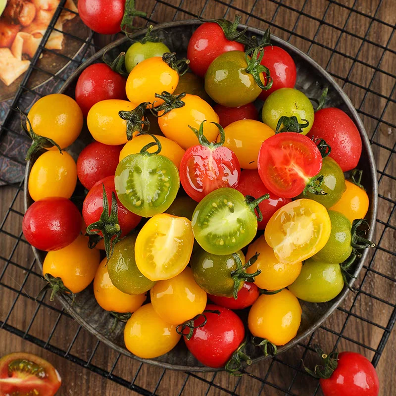 多彩小番茄西红柿新鲜采摘现摘现发多彩樱桃小番茄