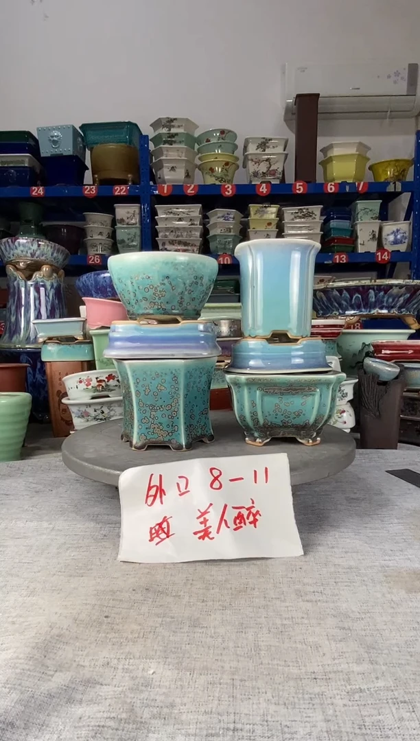 612六只美人醉花盆