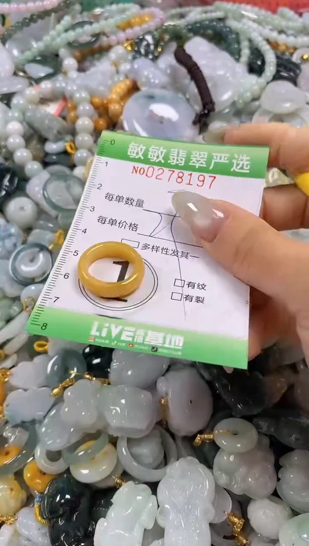 翡翠未镶嵌颈饰闪购0278197
