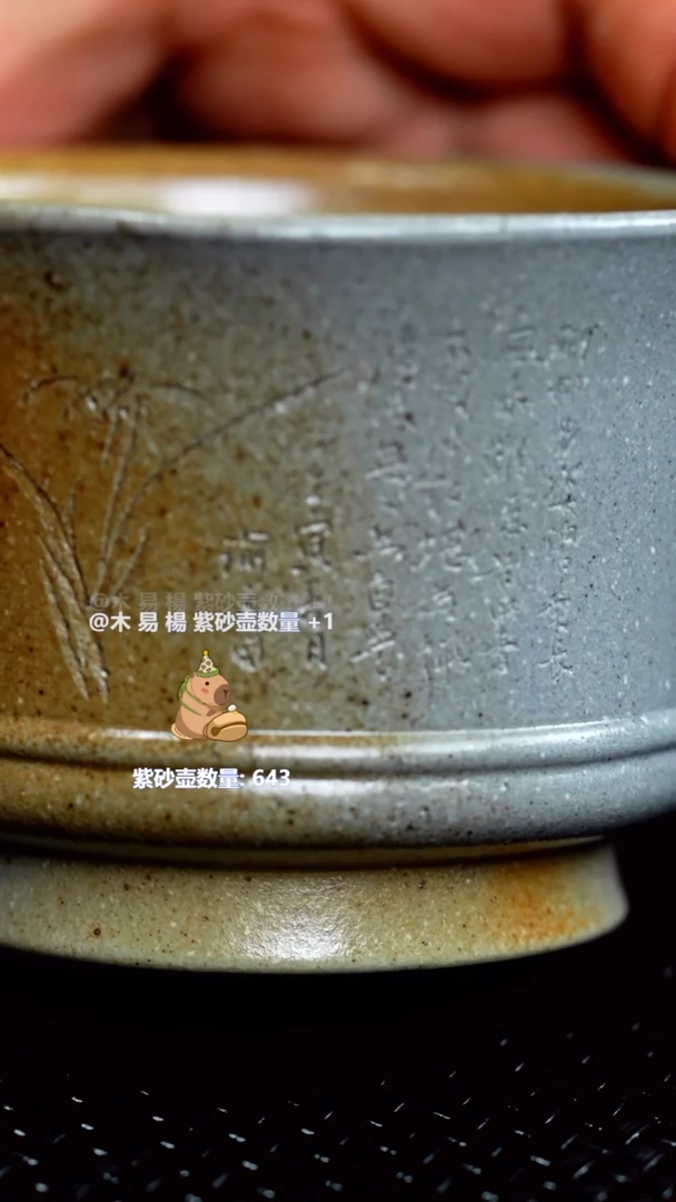 茶壶紫砂宜兴紫砂品茗