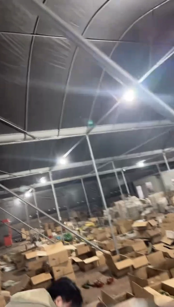 大单头 鹿角柱【带根】