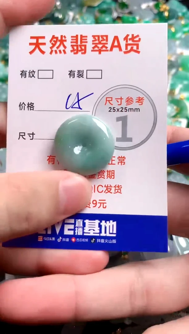 翡翠未镶嵌颈饰13003070