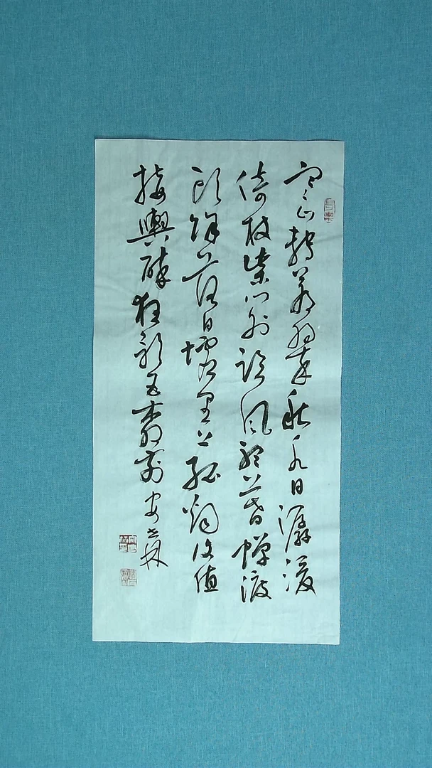 【闪购商品】书法284 甘肃安世林中书协69*34