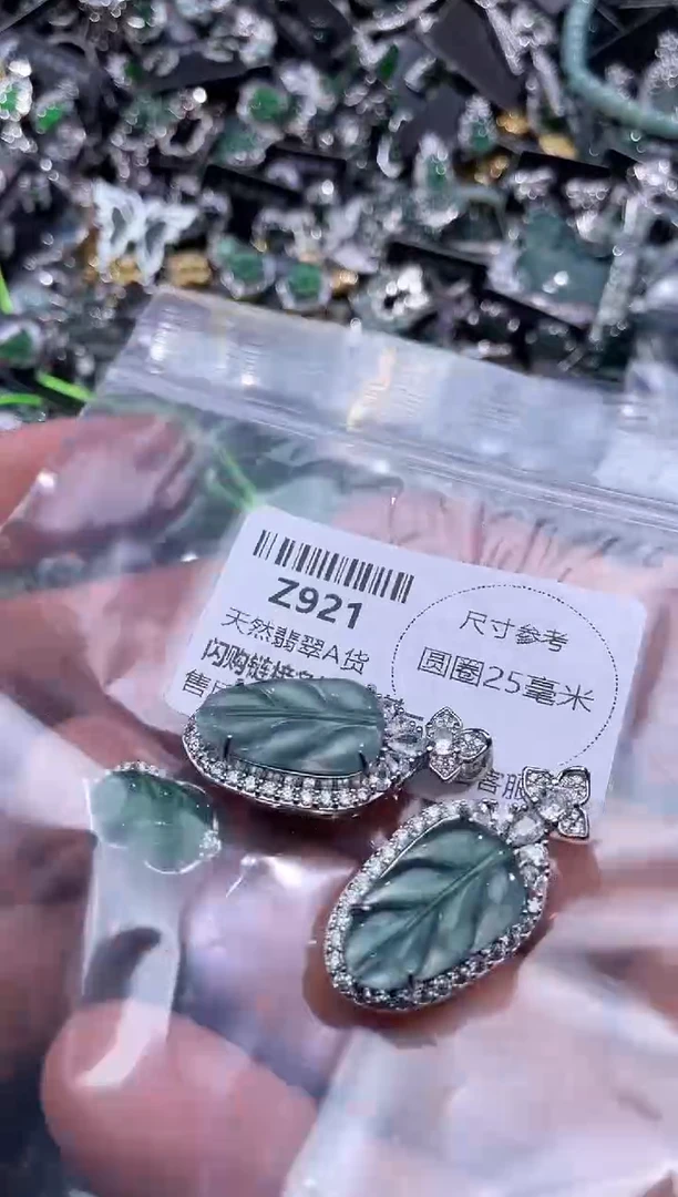 【闪购商品】翡翠颈饰未镶嵌Z921多样性发其一