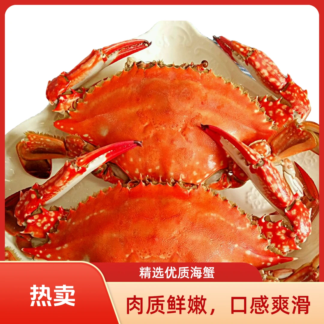 【推荐】舟山野生流网梭子蟹精品肉母蟹约舟山顺丰冷链发货约4两/只净重4斤左右到手10只【冻蟹】螃蟹