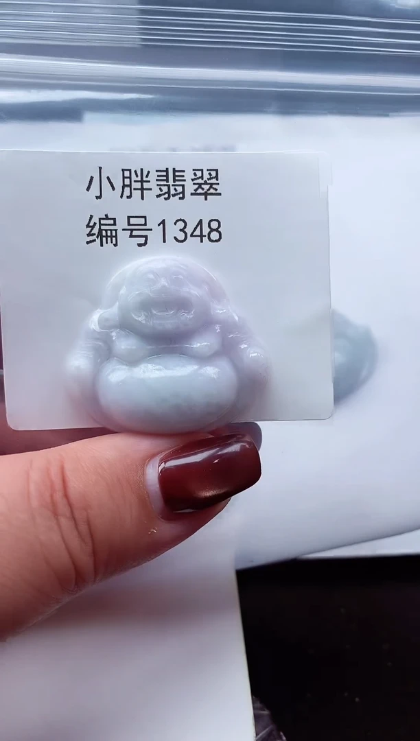 颈饰未镶嵌翡翠缅甸天然A货翡翠1348