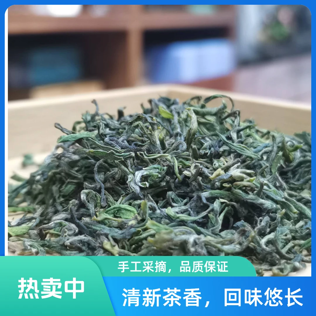 2025日照绿茶春茶  板栗香气浓郁 滋味鲜爽