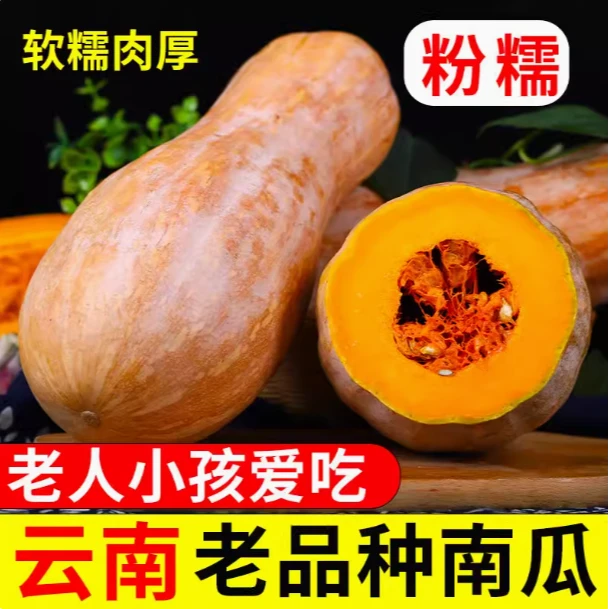 云南高山老品种南瓜DS
