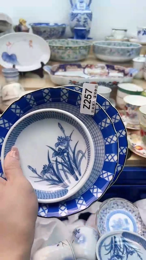 【闪购商品】瓷片257