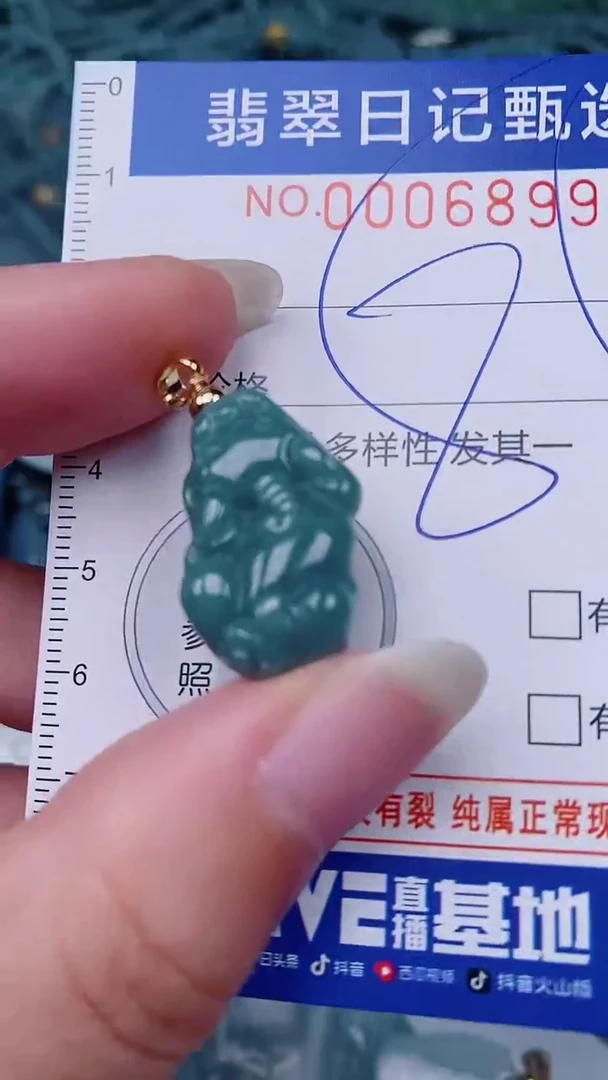 翡翠未镶嵌颈饰00006899