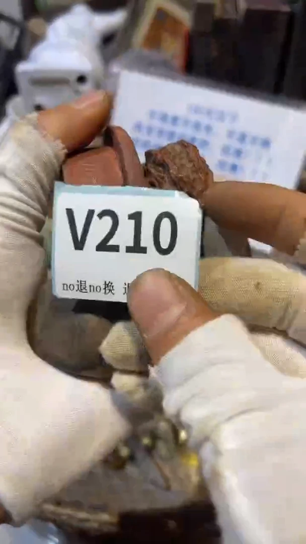 陶瓷哈*跳跳直播链接火爆热卖