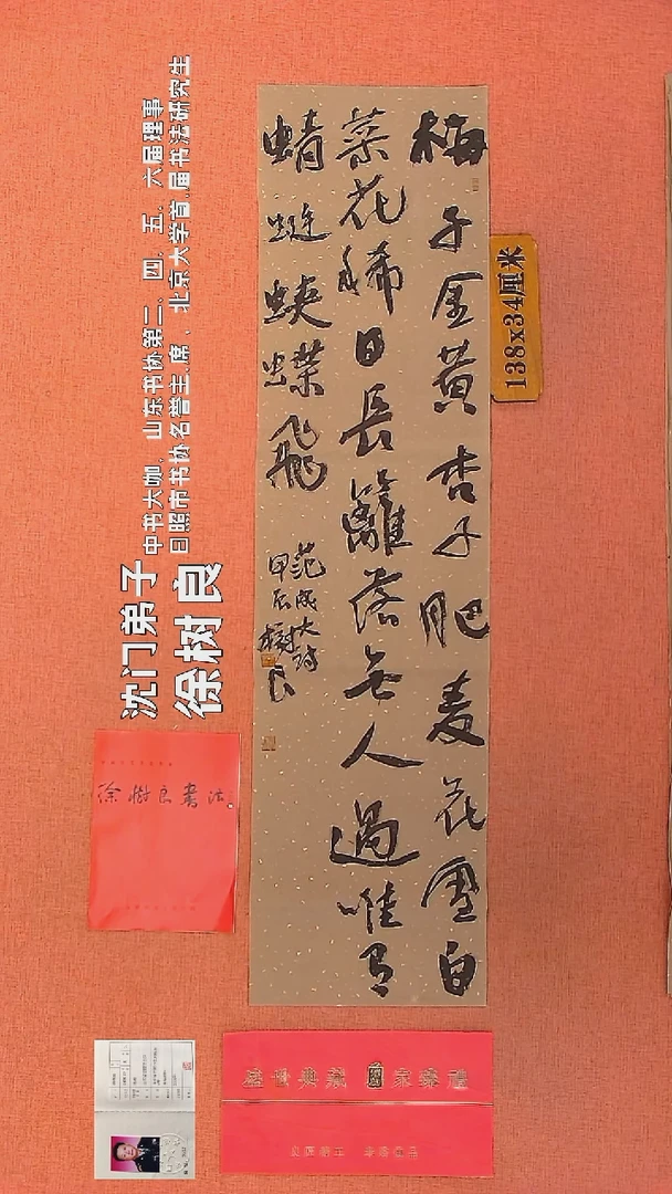 【闪购商品】书法12    徐树良书法作品