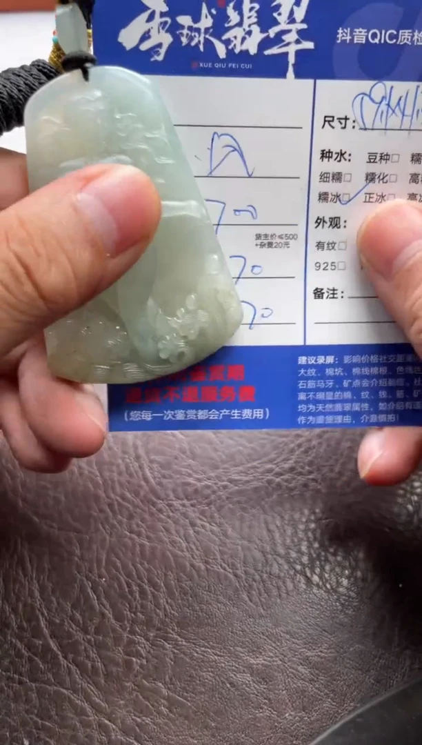 翡翠未镶嵌颈饰1584613030