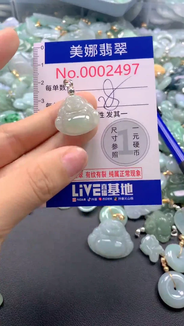 颈饰未镶嵌翡翠2497