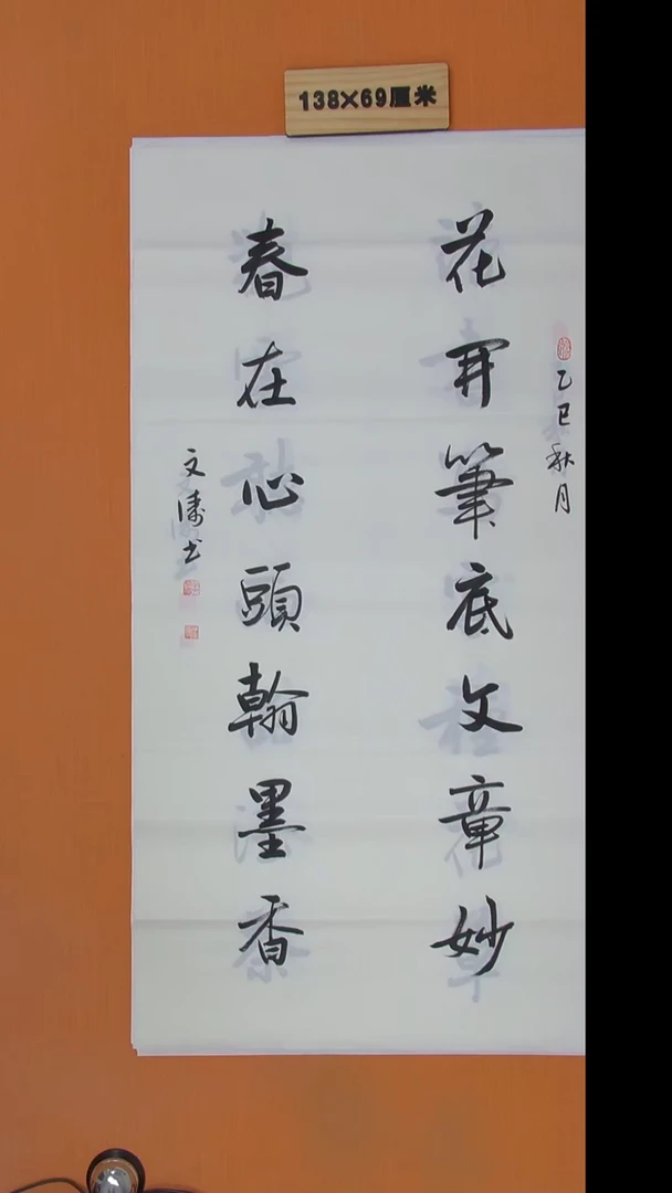 书法辛老师书法陕西西安138*69