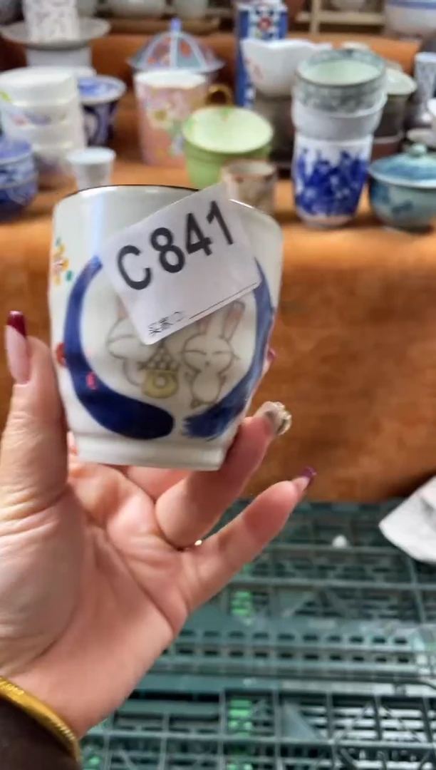 【闪购商品】C841