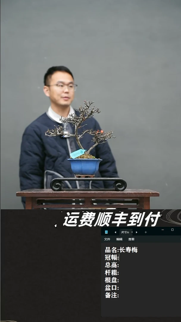 【闪购商品】11 长寿梅