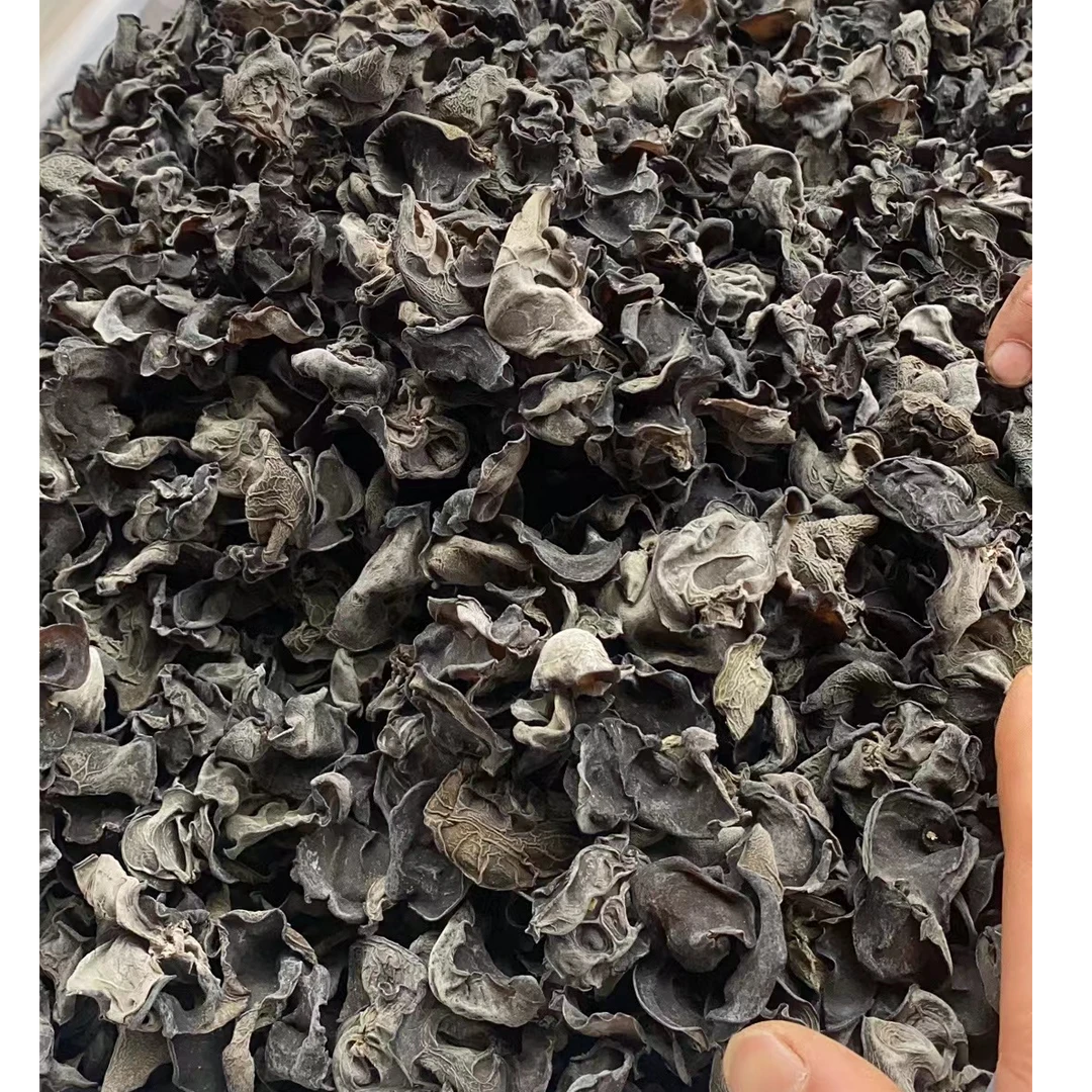 新货秦岭黑木耳干货500g春木耳头茬椴木干木耳（初级农产品）