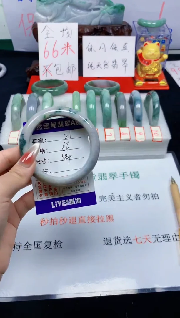 未镶嵌手镯翡翠81
