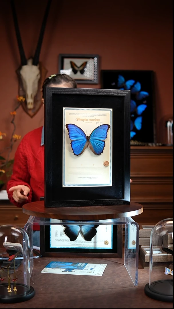 R130   大蓝闪     拍下不退不换