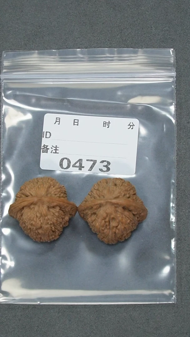 【闪购商品】文玩核桃把件35红宝石