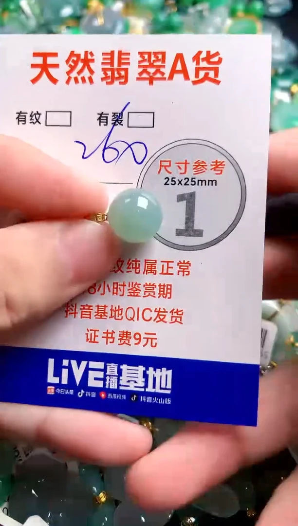 翡翠18K金镶嵌颈饰0097003967