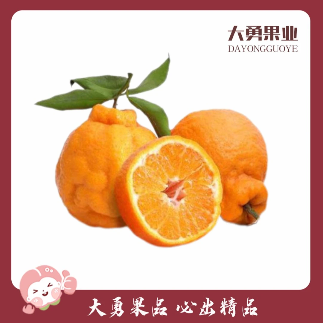 四川不知火丑橘   约2斤±50g