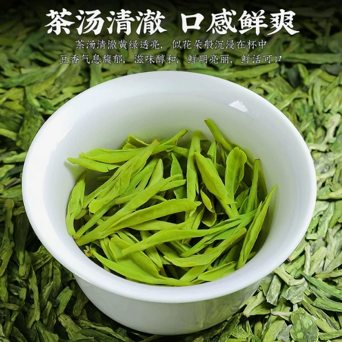 【买半斤送半斤】25年新茶龙井绿茶高山绿茶毛尖茶叶装明前春茶