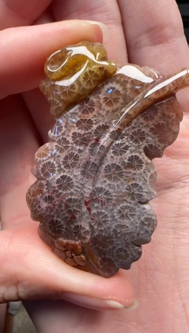 颈饰未镶嵌硅化珊瑚（珊瑚玉）365