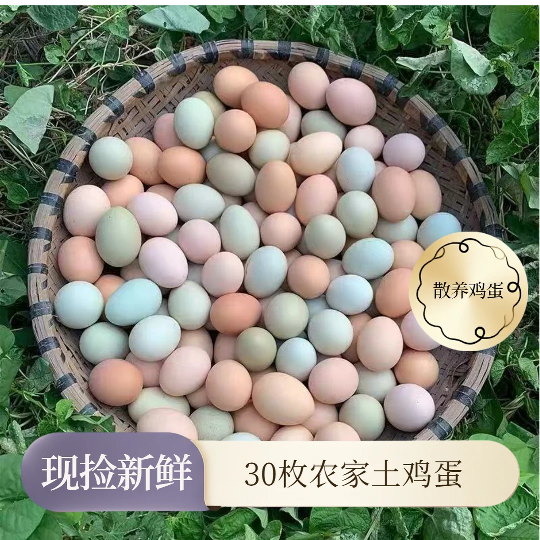正宗土鸡蛋：绿壳蛋，乌鸡蛋，散养土鸡蛋，精品大个