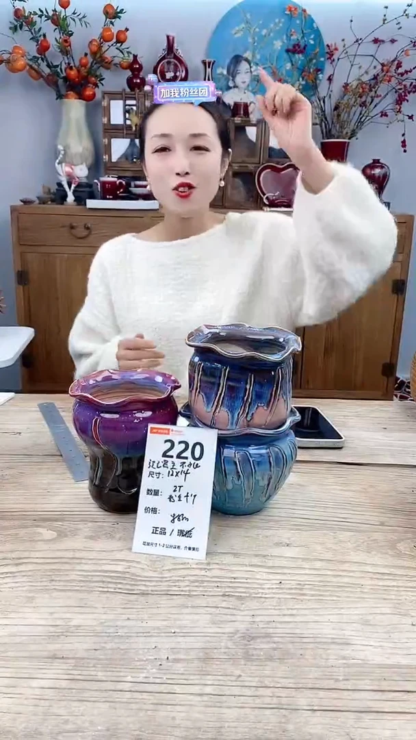 【闪购商品】陶瓷220