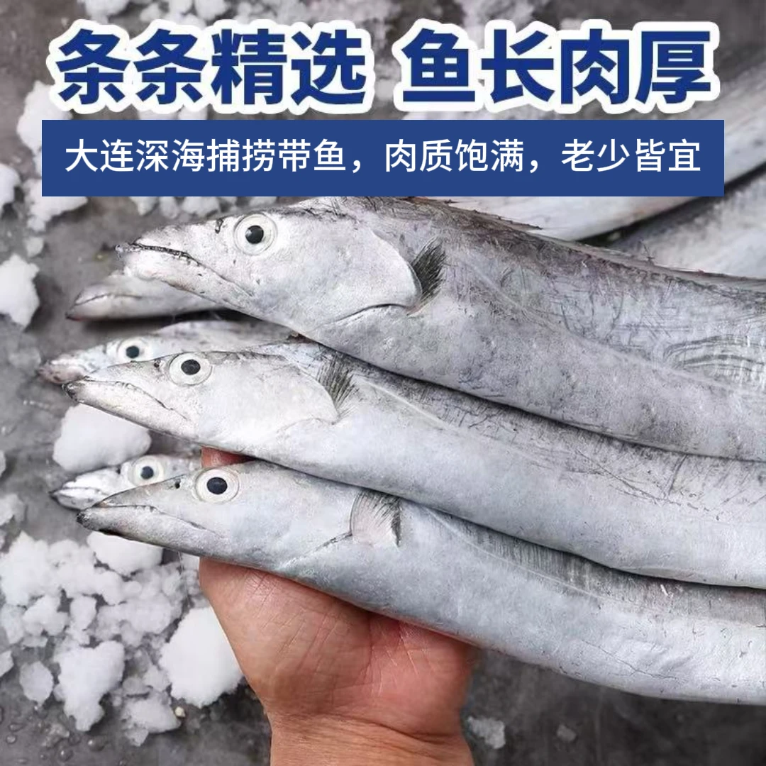 【正宗大连渤海大油带鱼】单条7两-9两 冷冻锁鲜 顺丰直发