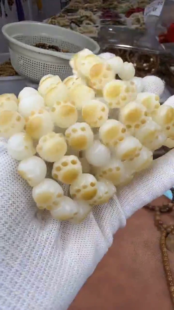 手串菩提根/象牙果菩提根猫抓