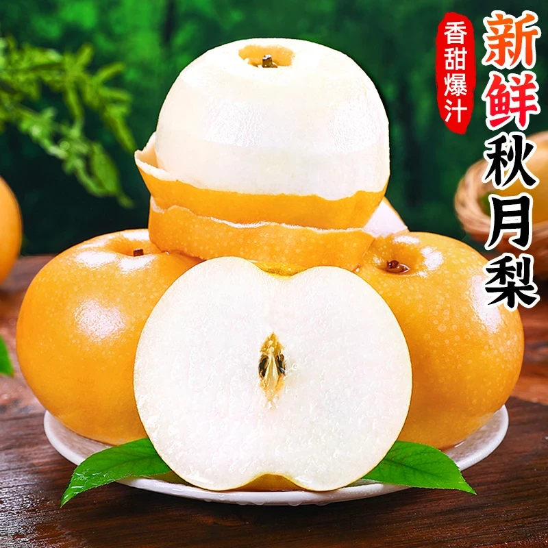 【9斤】正宗山东秋月梨新鲜水果当季现摘莱阳冰糖雪梨子蜜梨整箱5斤