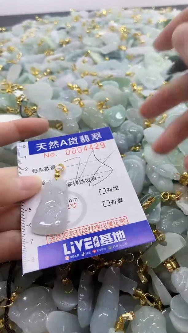 颈饰未镶嵌翡翠天然A货翡翠