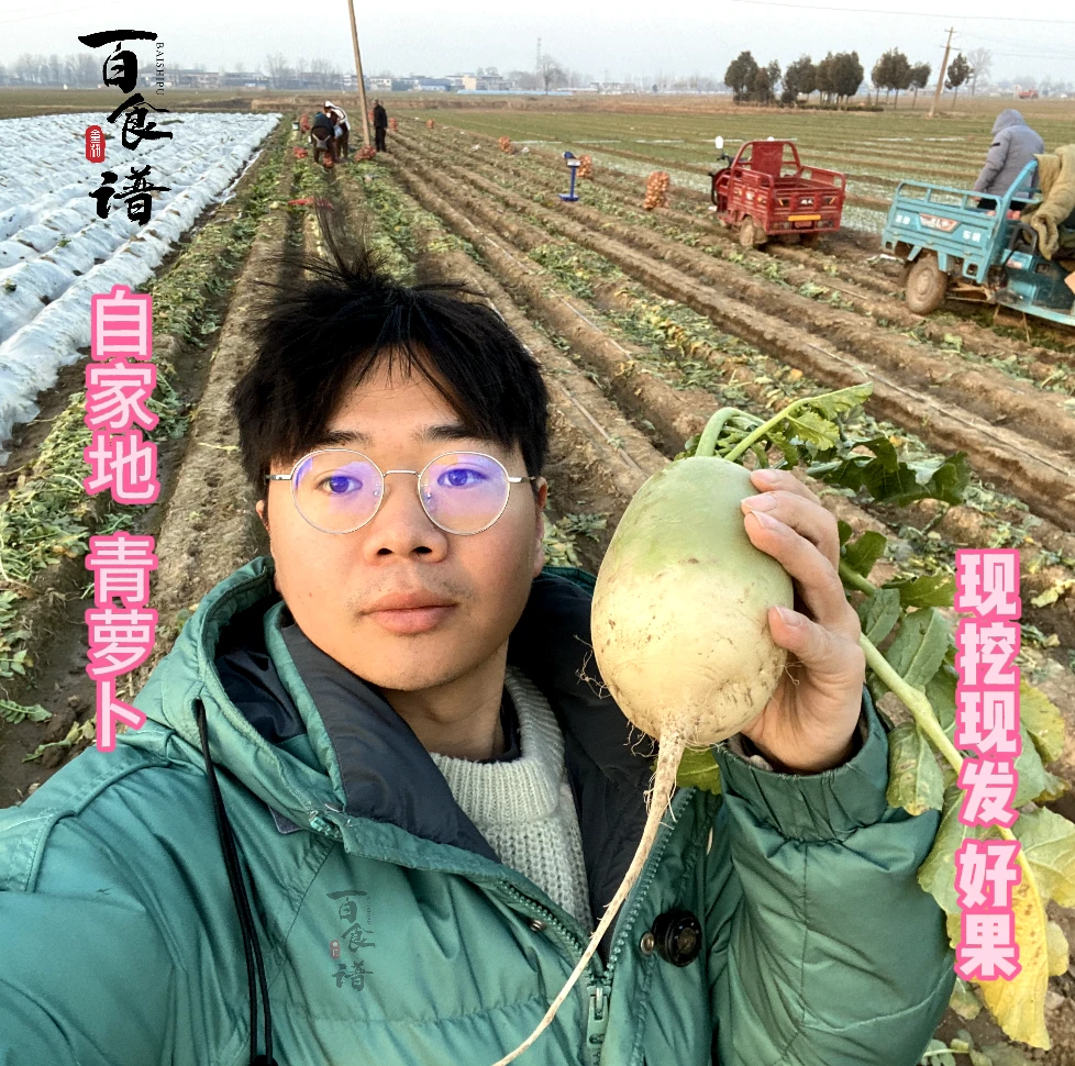 【百食谱】新鲜现挖青萝卜开封沙地农家种植老品种可生吃愣头青萝卜