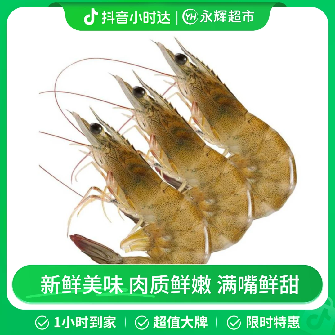鲜活明虾 500g(30头以内)