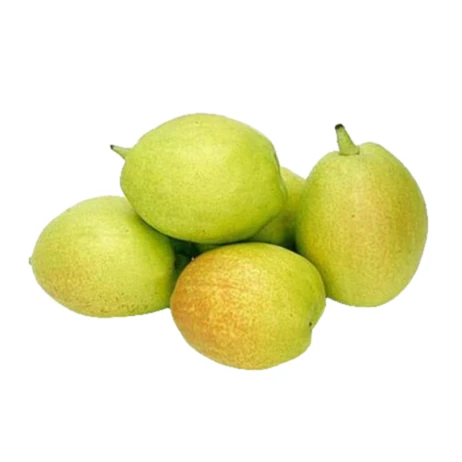 库尔勒香梨一箱 1950g