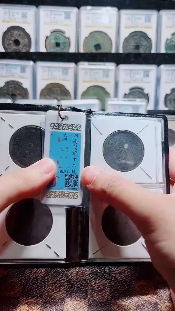 铜A119精品河南双旗贰拾文十二枚册（黑漆古）(斐鹏)